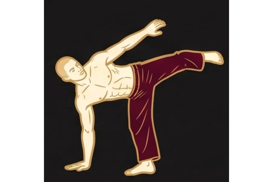 Capoeira — ilustrace