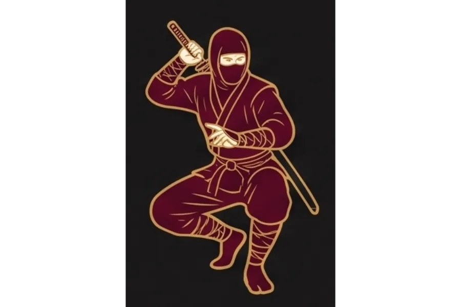 Ninjutsu — ilustrace