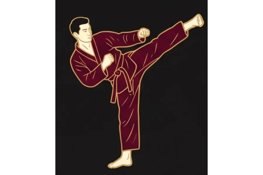 Taekwondo — ilustrace